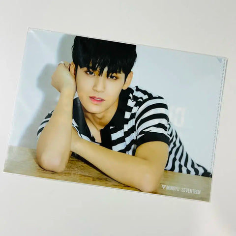 Seventeen Japan Diamond Edge Concert Mingyu Clear File