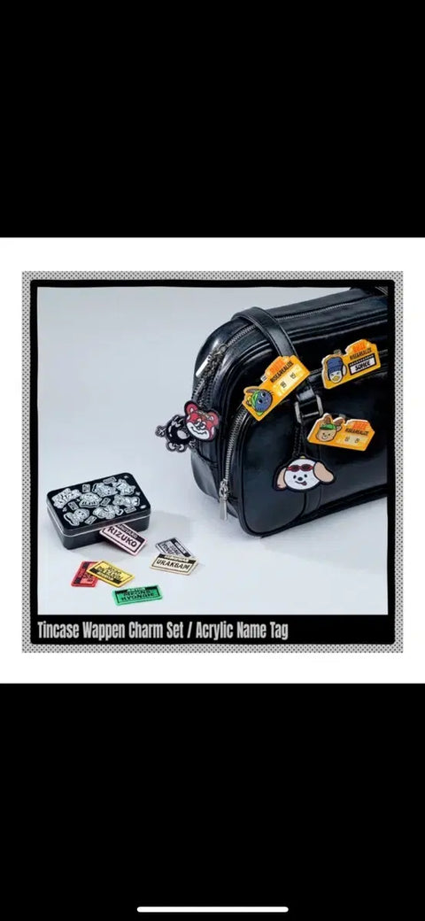 Rise Everise Tin Case Wappen Charm Set Eunseok Song Yongdori Below Original Price