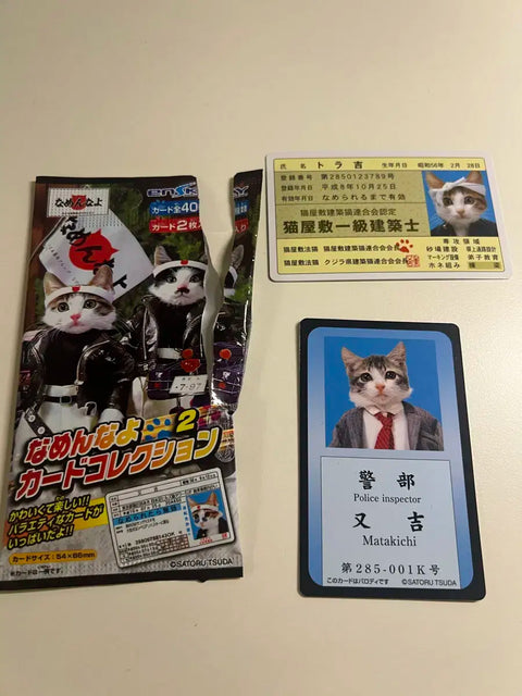 Troublemaker Cat / Namerar Cat Gang Cat Card Collection