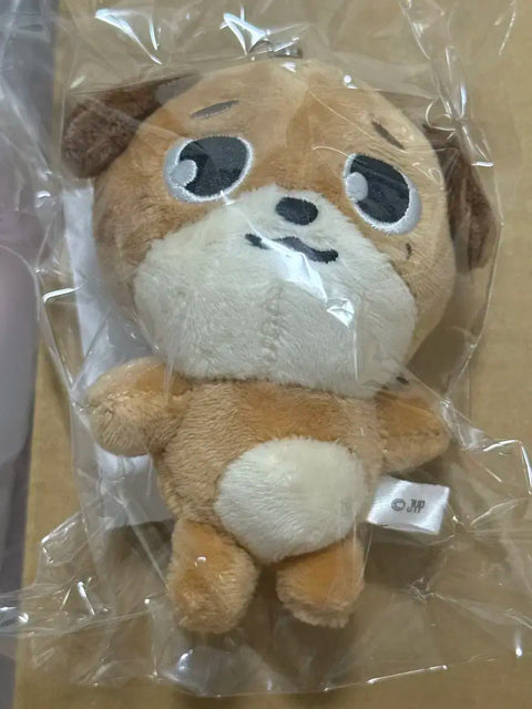 Day6 Túi xách Nhật Bản có bùa tiền