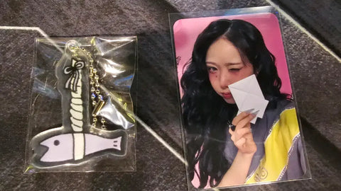 VIVIZ Week 2 broadcast photo card, SinB keychain, Eunha