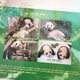Bao Family Postcard