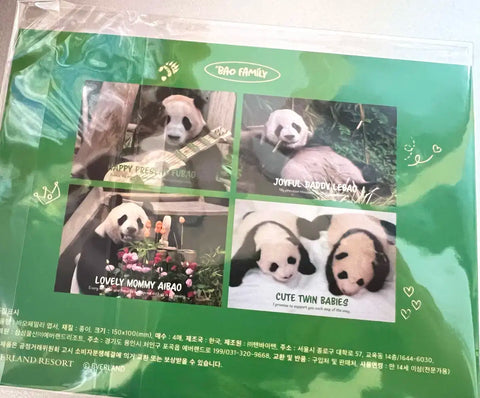 Bao Family Postcard