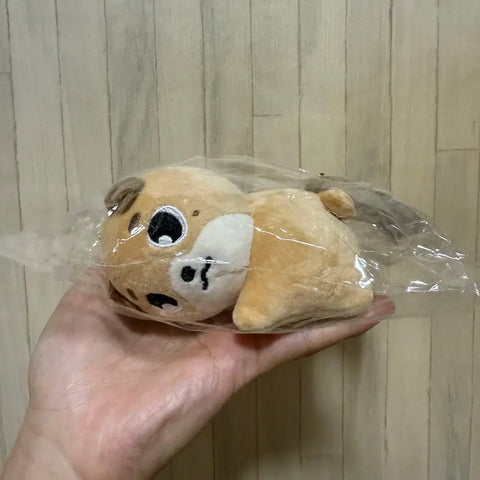 DAY6 hand warmer doll money