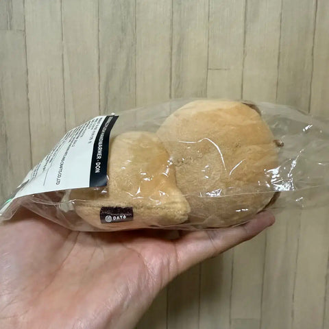 DAY6 hand warmer doll money