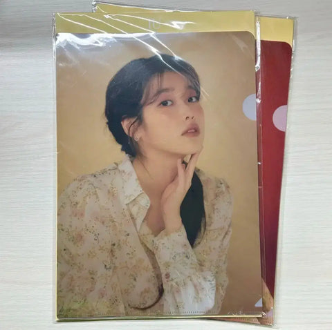 Bộ kẹp hồ sơ IU Clear File L