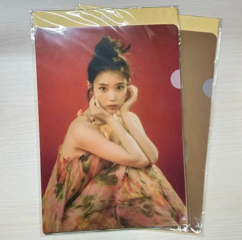Bộ kẹp hồ sơ IU Clear File L