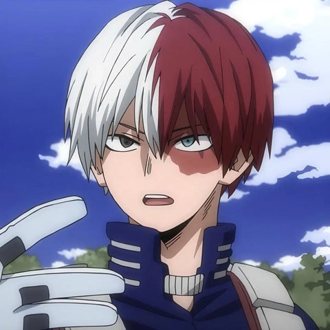 Todoroki Shoto Acrylic