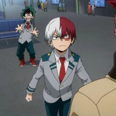 Todoroki Shoto Acrylic