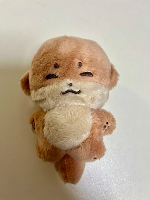 Dino doll, Chandang-i