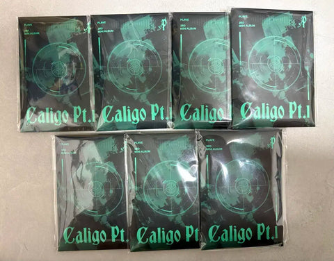 Selling PlayV Calligo unopened photocard album.