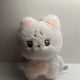 The Boyz new doll Chani-nyang