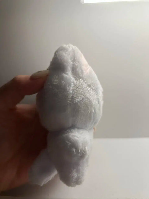 The Boyz new doll Chani-nyang