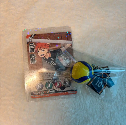 Haikyu Hinata Goods for Sale