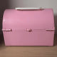 Vintage Retro Pink Lady Japanese Female Duo Plastic Storage Box 70s-80s