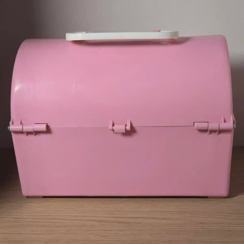 Vintage Retro Pink Lady Japanese Female Duo Plastic Storage Box 70s-80s
