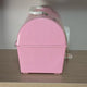 Vintage Retro Pink Lady Japanese Female Duo Plastic Storage Box 70s-80s