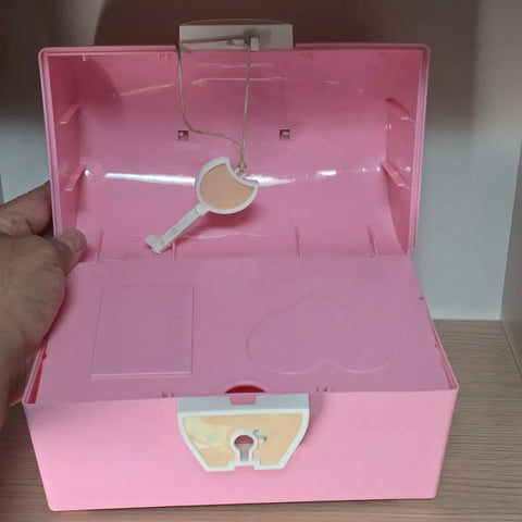 Vintage Retro Pink Lady Japanese Female Duo Plastic Storage Box 70s-80s