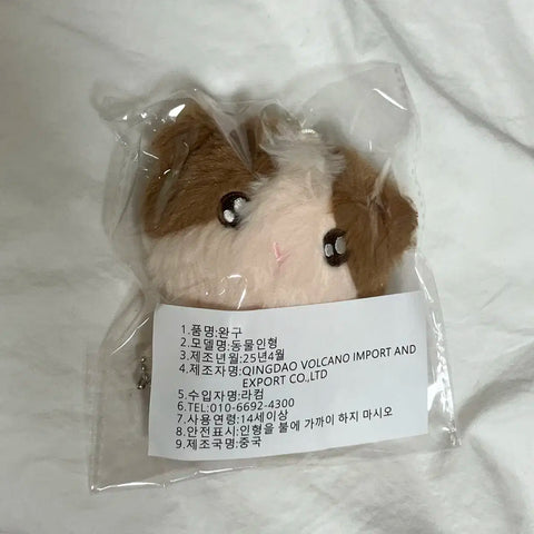Chưa mở) &amp;TEAM Harua Doll, Lungini để bán/chuyển nhượng