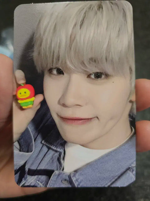 Zeroni fruit figure Tannini Kim Tae-rae