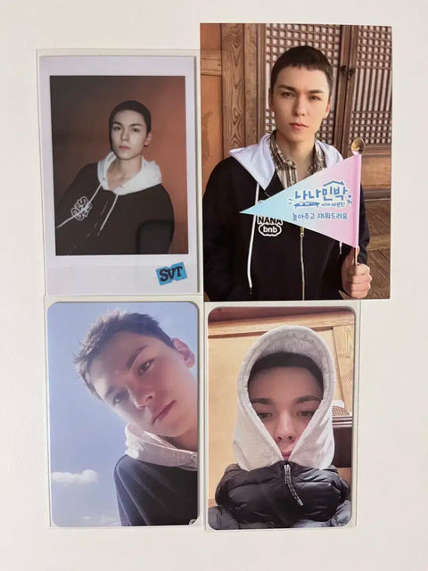 Seventeen Nanam Minbak Vernon