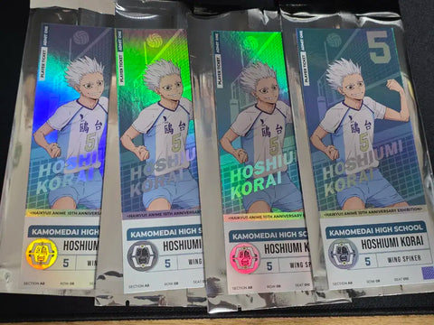 Haikyuu Exhibition Random Ticket Hoshiumi