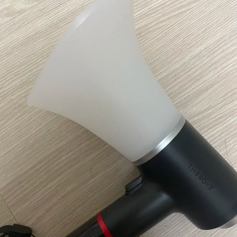 The Boyz light stick