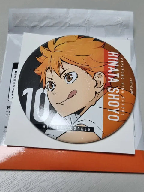 Haikyu!! Receive Kuji M Prize Hinata Badge