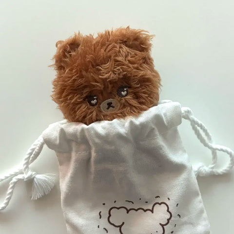 Chuyển búp bê NCT Haechan 10cm
