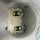 Gối Otherworld Idol Vichan