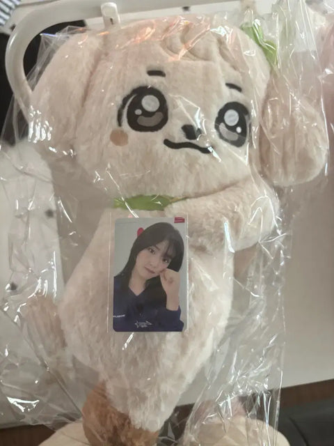 I'm selling an unopened, new IVE mini bag, Ahn Yujin's Kang Anji hug bag.