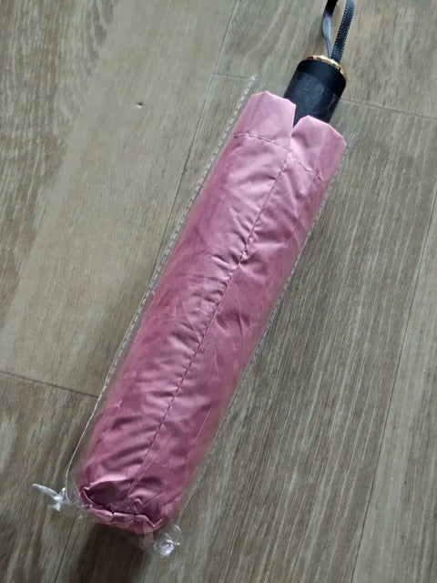 DAY6 Fan Meeting Week 2 My Day U-Yangsan Yangsan Umbrella Confetti