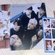 BTS Bulletproof Portfolio Photobook Group bts