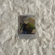 Ensemble Stars Knights Sena Izumi Starlight Doki Doki Polaroid Pre-Blooming Chinese Server Card
