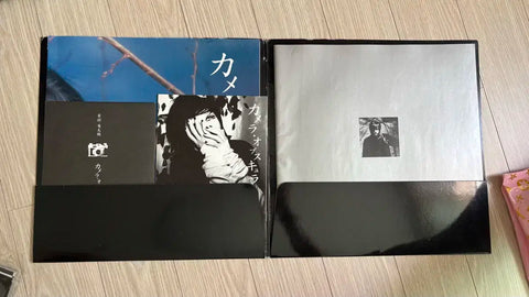 Arimura Ryutaro Photobook Camera Obscura plastic tree
