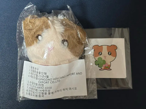 Lungini &TEAM Harua 10cm Doll