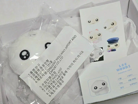 ILLIT Wonhee doll Lee Wondy transfer