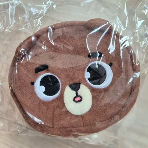DAY6 FOREVER YOUNG Japan MD Face Pouch Bang Sungjin Osaka Yokohama