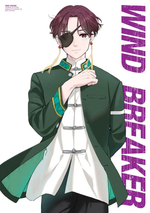 Wind Breaker Seo Hayato Poster