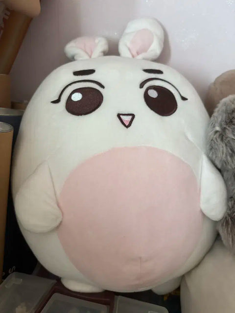EXO Suho sells King Myeon Bread.