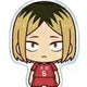 Haikyu Kenma Yurayura Acrylic Stand + Keychain
