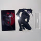 Hoshina unofficial acrylic block bundle