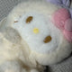 Sanrio Easter Rabbit Series Mascot Holder