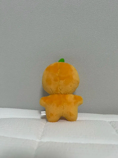 Bugeumgyul Pposeugeumgyul Burabong Boo Seungkwan doll SEVENTEEN transfer