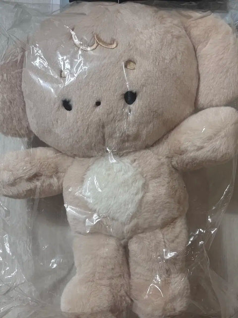 Bán búp bê Dokyeom 40cm Wang Coco!