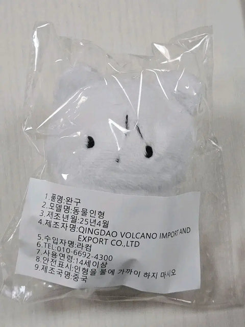 BOYNEXTDOOR Woonhak bear doll transfer