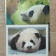 Hello, I'm selling Grandpa Fubao's movie pamphlets and booklets in Japan.