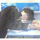 Slam Dunk Rukawa Kaede A3 Poster Bundle Sale