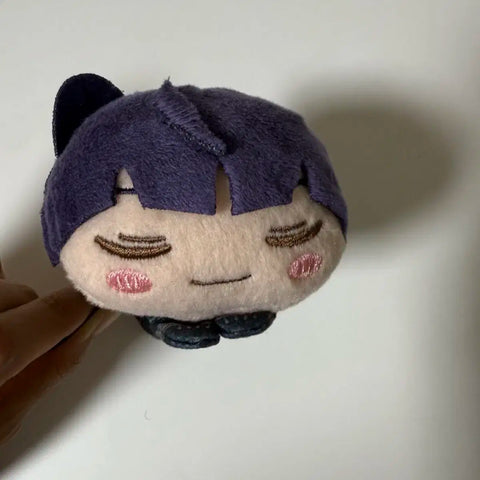 Hoshina Neko Nui