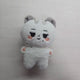 IVE Rei fan doll Levi for sale, IVE Yujin Rei Gaeul Wonyoung Liz Leeseo photocard